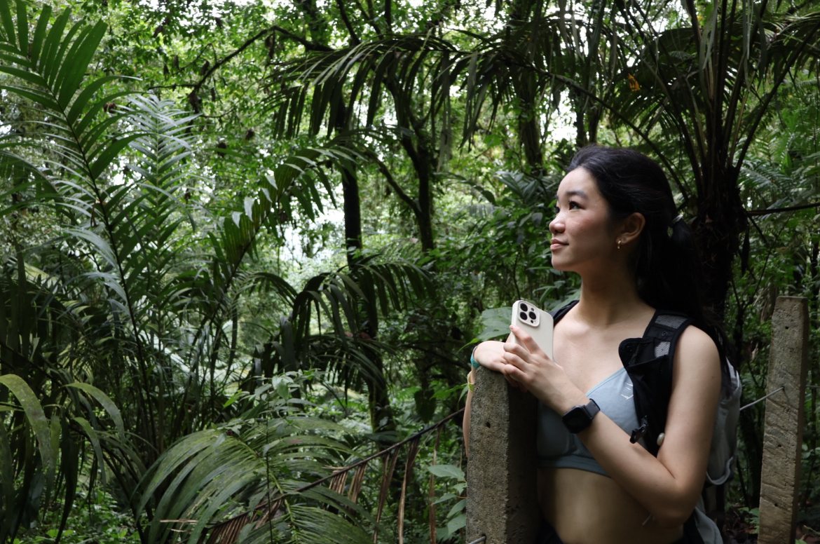 Hiking through a rainforest trail