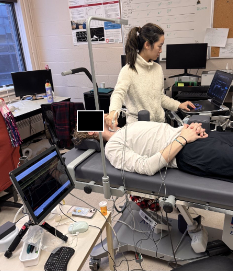 Performing a vascular ultrasound assessment on a study participant